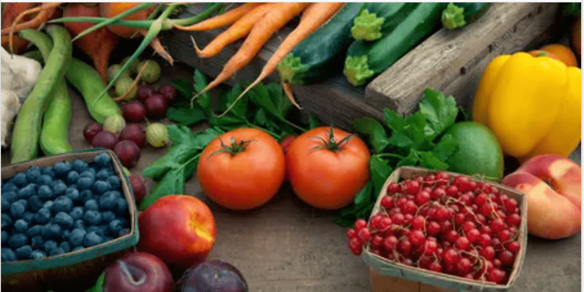 Screenshot 2026-02-11 at 2.43.19 PM